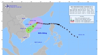 Chủ động ứng phó với bão TORAJI gần biển Đông