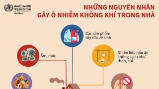 Ngày Viêm phổi Thế giới 12/11 - Những nguyên nhân gây ô nhiễm không khí trong nhà