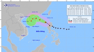 Cập nhật tình hình cơn bão số 8 - TORAJI