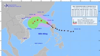 Cập nhật tình hình cơn bão số 8 (TORAJI) tính đến 13h chiều hôm nay ngày 12/11