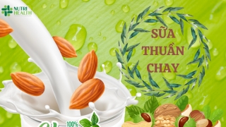 Sản xuất gia công sữa hạt theo yêu cầu – đáp ứng nhu cầu dinh dưỡng cho thị trường hiện đại