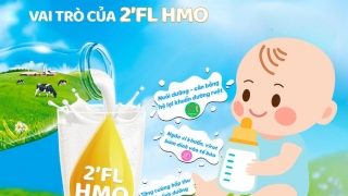 Vai trò của 2’FL HMO đối với trẻ nhỏ