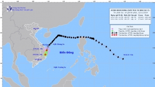 Cập nhật tình hình áp thấp nhiệt đới trên Biển Đông (Suy yếu từ cơn bão số 7)