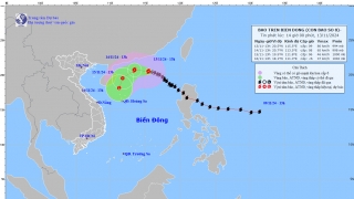 Cập nhật tình hình cơn bão số 8 (TORAJI) tính đến 13h chiều hôm nay ngày 13/11