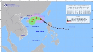 Cập nhật tình hình cơn bão số 8 (TORAJI) tính đến 7h sáng ngày 13/11