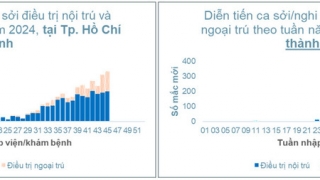 TP. Hồ Chí Minh: Tình hình dịch bệnh sởi tính đến tuần 45