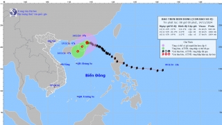 Cập nhật tình hình cơn bão số 8 (TORAJI) tính đến 7h sáng ngày 14/11