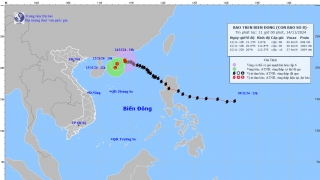Cập nhật tình hình cơn bão số 8 (TORAJI) tính đến 10h sáng ngày 14/11
