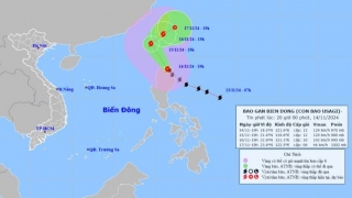 Bộ Nông nghiệp và PTNT chỉ đạo các địa phương ven biển ứng phó với bão USAGI gần biển Đông