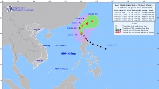 Tin bão gần Biển Đông - Cơn bão số 9 (USAGI)