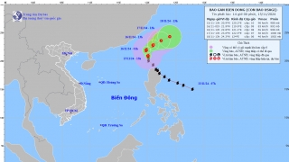 Cập nhật tình hình cơn bão số 9 (USAGI) tính đến 13h chiều nay ngày 15/11