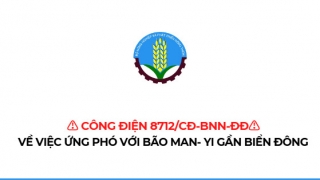 Bộ Nông nghiệp và Phát triển nông thôn yêu cầu ứng phó với bão MAN-YI gần biển Đông