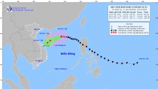Cập nhật tình hình cơn bão số 9 (MAN-JI) tính đến 10h sáng ngày 19/11