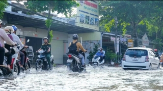 Nhiều tỉnh, thành phố Đồng bằng sông Cửu Long có nguy cơ bị ngập do triều cường