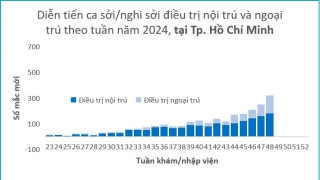 TP. Hồ Chí Minh: Tiếp tục tiêm vaccine sởi cho trẻ từ 6 đến dưới 9 tháng tuổi