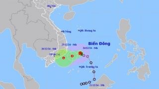 Tin bão mới nhất