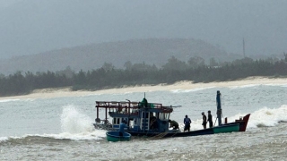 Phú Yên: Hai ngư dân tử vong khi đánh bắt trên biển