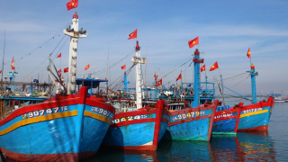 Tăng cường công tác quản lý tàu cá, đảm bảo an toàn cho người và tàu cá hoạt động thủy sản