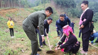 Lào Cai: Phát động phong trào Tết trồng cây Xuân Ất Tỵ và trồng rừng năm 2025