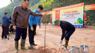 Bắc Kạn: Phát động phong trào “Tết trồng cây đời đời nhớ ơn Bác Hồ” Xuân Ất Tỵ 2025