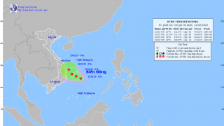 Tin áp thấp nhiệt đới trên Biển Đông