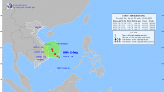 Cập nhật tình hình áp thấp nhiệt đới tính đến 13h chiều ngày 12/2