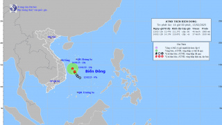 Cập nhật tình hình áp thấp nhiệt đới tính đến 13h chiều ngày 13/2