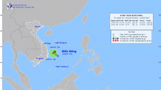 Cập nhật tình hình áp thấp nhiệt đới tính đến 7h sáng ngày 14/2