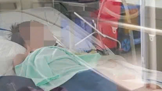 Hà Nội: Tiếp nhận và điều trị cho bệnh nhi 7 tuổi mắc viêm não do virus dại kèm suy hô hấp