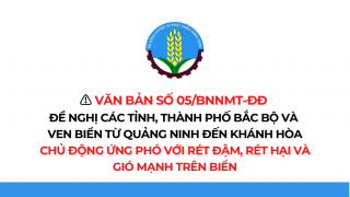 Các tỉnh, thành phố khu vực Bắc Bộ và ven biển chủ động ứng phó với rét đậm, rét hại và gió mạnh trên biển