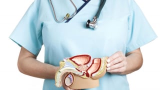 Bác sĩ hướng dẫn tự kiểm tra giãn tĩnh mạch tinh đơn giản tại nhà