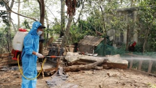Bắc Ninh: Triển khai đồng bộ, quyết liệt các giải pháp phòng, chống dịch bệnh gia súc, gia cầm
