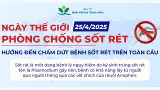 Ngày Thế giới phòng chống sốt rét - World Malaria Day (25/4/2025)
