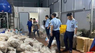 Hà Nội: Phát hiện gần 11 tấn thịt và nội tạng bò không rõ nguồn gốc trong 3 kho lạnh