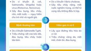 Infographic: Những bệnh thường gặp khi uống nước bị nhiễm bẩn