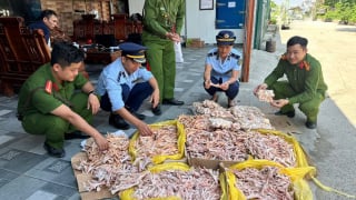 Nghệ An: Phát hiện gần 500kg chân gà, đuôi lợn không rõ nguồn gốc xuất xứ