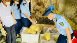 Nghệ An: Phát hiện 600kg măng tươi không rõ nguồn gốc xuất xứ