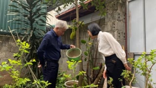 Hà Nội: Ghi nhận 23 ca mắc COVID-19 trong tuần qua