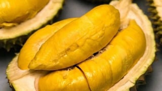 Mẹo chọn sầu riêng chín cây, không ngâm hóa chất