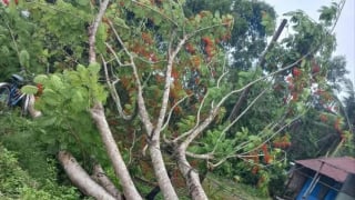 Trà Vinh: Hai thanh niên đi xe máy tử vong do bị điện giật