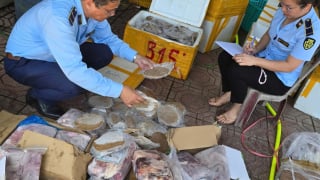 Quảng Bình: Phát hiện, thu giữ gần 270kg thực phẩm các loại không rõ nguồn gốc xuất xứ