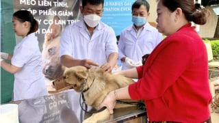 Gia Lai: Ghi nhận thêm một ca tử vong do bệnh dại