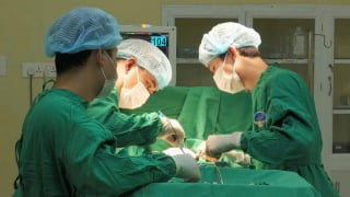 TP Hồ Chí Minh: Cắt bỏ hai vú do tự ý dùng ong đốt để chữa ung thư