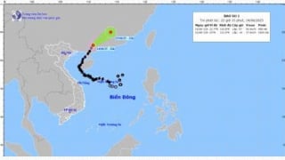 Tin cuối cùng về cơn bão số 1 (Wutip)