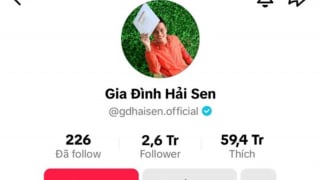 Chủ kênh TikTok 'Gia đình Hải Sen' bị bắt nghi buôn bán hàng giả