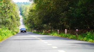 Đồng Nai đẩy nhanh tiến độ mở hơn 40 km đường kết nối vào Vành đai 4 TP. HCM