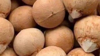 Cách uống nước chanh dừa để giảm cân