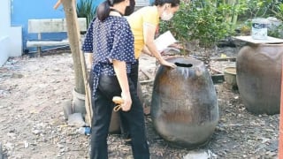 TP. Hồ Chí Minh: Hưởng ứng Ngày ASEAN phòng, chống sốt xuất huyết lần thứ 15 năm 2025