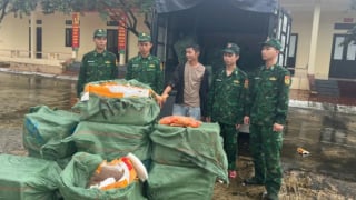 Quảng Ninh: Thu giữ 1.170kg trứng gà non không rõ nguồn gốc