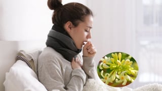 Khám phá 6 tác dụng quý của hoa đu đủ đực